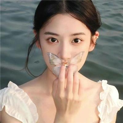 回归