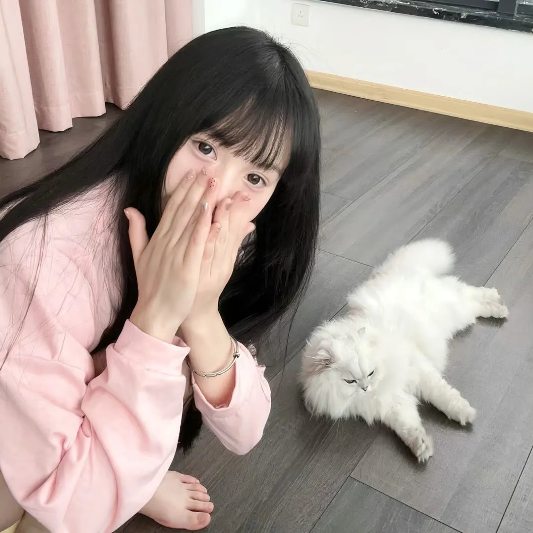 大获拳胜