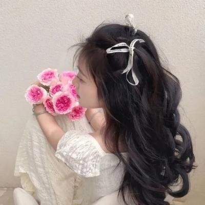 自由战士：射线 电影版